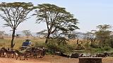 TANZANIA - Serengeti National Park - 048